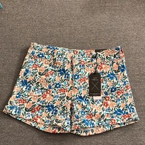 American Eagle Outfitters Floral High Waist Shorts - Blue and Red
